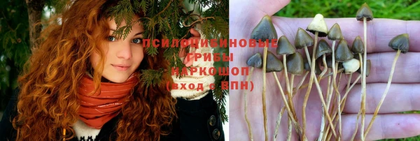 винт Алзамай